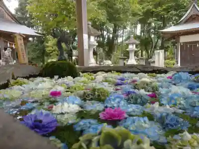 嵐山瀧神社の手水舎