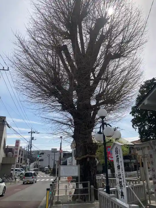 國榮稲荷神社(神奈川県)