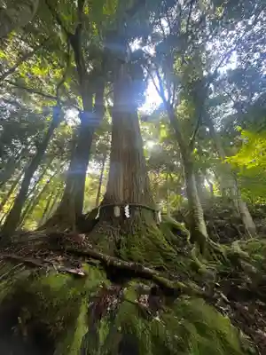 貴船神社(京都府)
