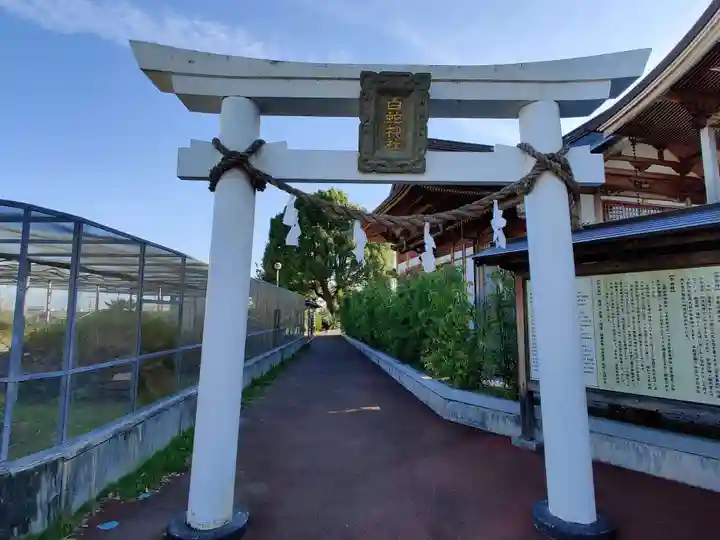 岩国白蛇神社(山口県)