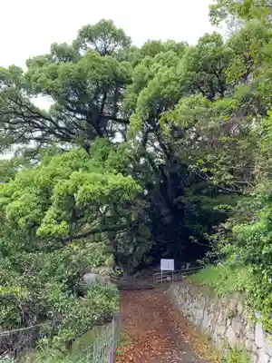 大山祇神社奥の院 生樹の御門(愛媛県)