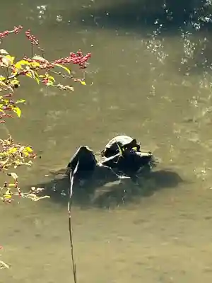 円成寺(奈良県)