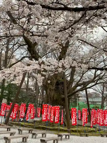 秩父今宮神社の自然