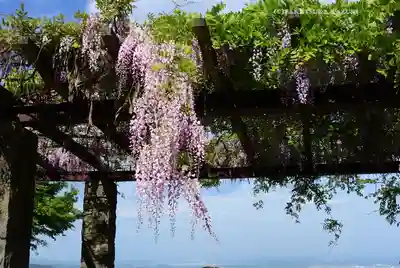 武蔵御嶽神社(東京都)