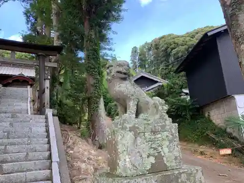 大宮神社の狛犬