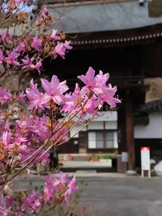 普門寺(切り絵御朱印発祥の寺)(愛知県)