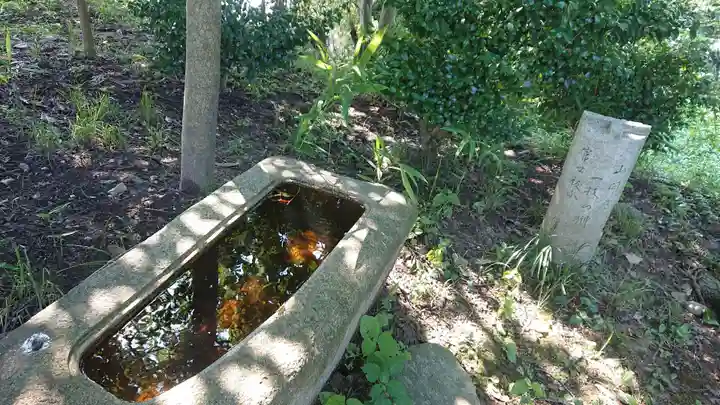 若宮神明社の手水舎