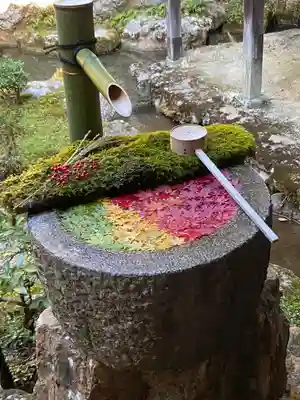 柳谷観音　楊谷寺のその他建物