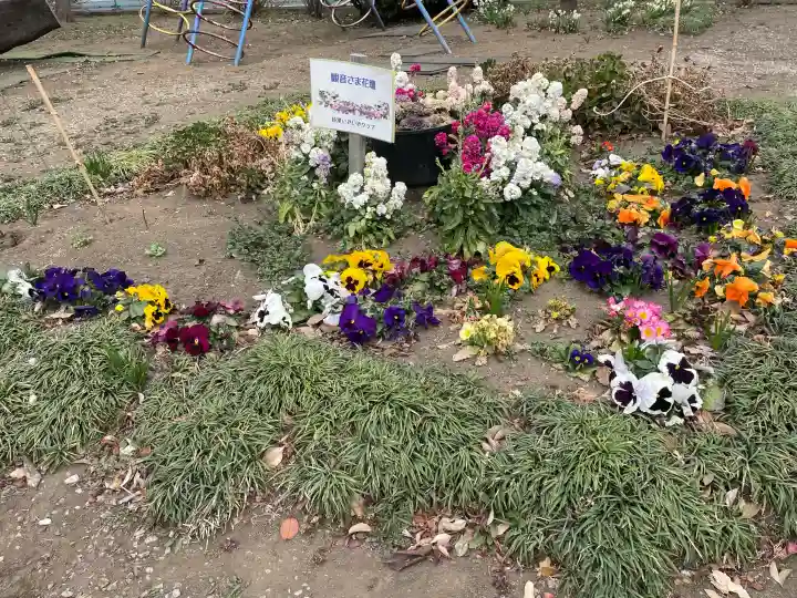 谷津観音堂の{uncategorized: "未分類", other: "その他", undefined: "問題あり", building: "その他建物", grave: "お墓", sacred_gate: "鳥居", guardian: "狛犬", statue: "像", buddha: "仏像", history: "歴史", nature: "自然", garden: "庭園", animal: "動物", pagoda: "塔", temizu: "手水舎", mountain_gate: "山門・神門", sanctuary: "本殿・本堂", subordinate: "末社・摂社", art: "芸術", scenery: "景色", jizo: "地蔵", ema: "絵馬", goshuin: "御朱印", omikuji: "おみくじ", items: "授与品その他", amulet: "お守り", goshuincho: "御朱印帳", eats: "食事", festival: "お祭り", votive_dance: "神楽", shichigosan: "七五三参", wedding: "結婚式", experience: "体験その他", initially: "初詣", around: "周辺", anti_infection: "感染症対策"}