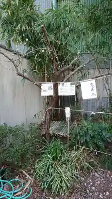 鵲森宮のその他建物