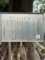 須賀神社の{uncategorized: "未分類", other: "その他", undefined: "問題あり", building: "その他建物", grave: "お墓", sacred_gate: "鳥居", guardian: "狛犬", statue: "像", buddha: "仏像", history: "歴史", nature: "自然", garden: "庭園", animal: "動物", pagoda: "塔", temizu: "手水舎", mountain_gate: "山門・神門", sanctuary: "本殿・本堂", subordinate: "末社・摂社", art: "芸術", scenery: "景色", jizo: "地蔵", ema: "絵馬", goshuin: "御朱印", omikuji: "おみくじ", items: "授与品その他", amulet: "お守り", goshuincho: "御朱印帳", eats: "食事", festival: "お祭り", votive_dance: "神楽", shichigosan: "七五三参", wedding: "結婚式", experience: "体験その他", initially: "初詣", around: "周辺", anti_infection: "感染症対策"}