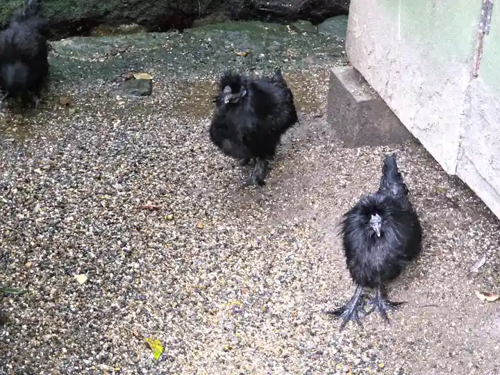 石上神宮(奈良県)