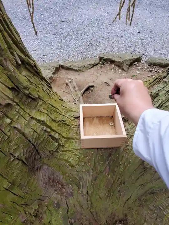 間々田八幡宮のその他建物