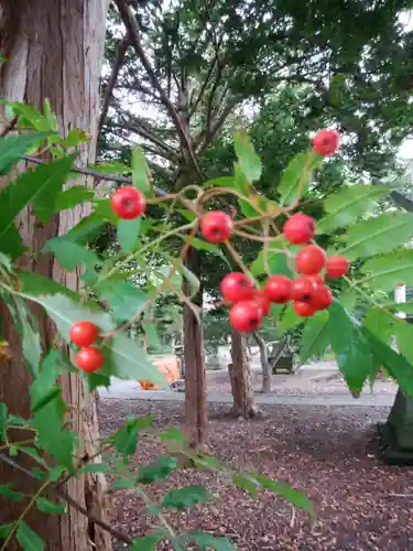南幌神社(北海道)