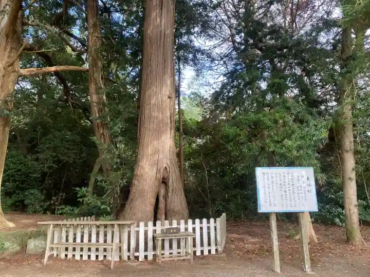 鎌数伊勢大神宮(千葉県)