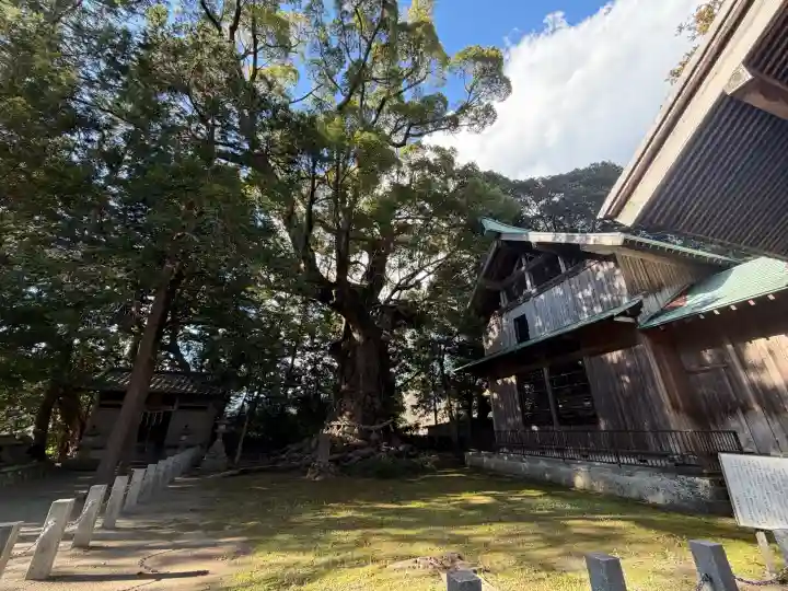 川津来宮神社の{uncategorized: "未分類", other: "その他", undefined: "問題あり", building: "その他建物", grave: "お墓", sacred_gate: "鳥居", guardian: "狛犬", statue: "像", buddha: "仏像", history: "歴史", nature: "自然", garden: "庭園", animal: "動物", pagoda: "塔", temizu: "手水舎", mountain_gate: "山門・神門", sanctuary: "本殿・本堂", subordinate: "末社・摂社", art: "芸術", scenery: "景色", jizo: "地蔵", ema: "絵馬", goshuin: "御朱印", omikuji: "おみくじ", items: "授与品その他", amulet: "お守り", goshuincho: "御朱印帳", eats: "食事", festival: "お祭り", votive_dance: "神楽", shichigosan: "七五三参", wedding: "結婚式", experience: "体験その他", initially: "初詣", around: "周辺", anti_infection: "感染症対策"}