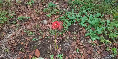 平野神社(京都府)