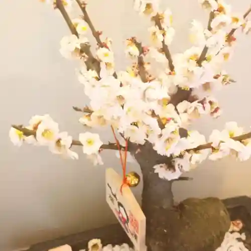 彌彦神社　(伊夜日子神社)の絵馬