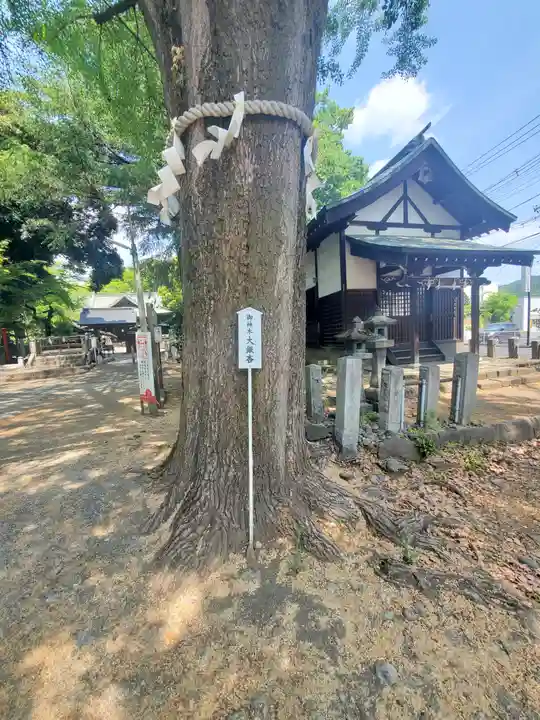 桐生天満宮(群馬県)