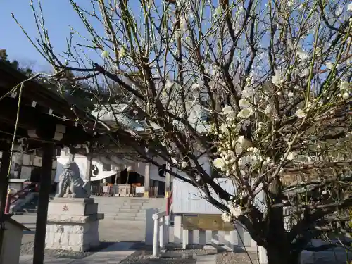 本牧神社の自然