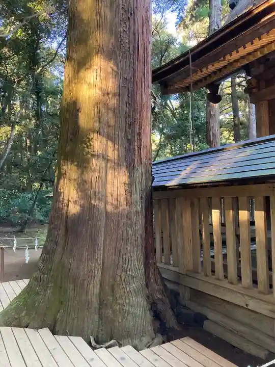 鹿島神宮(茨城県)