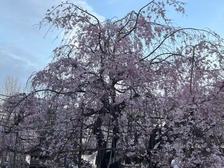 佛光寺(京都府)