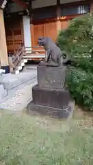 天現寺の狛犬