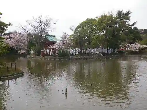 鶴岡八幡宮の庭園