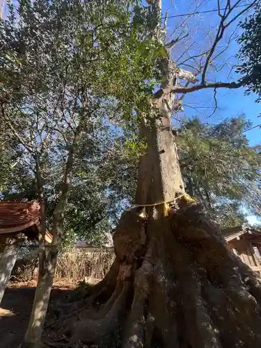 沓掛香取神社(茨城県)