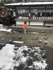 今市報徳二宮神社の建物その他