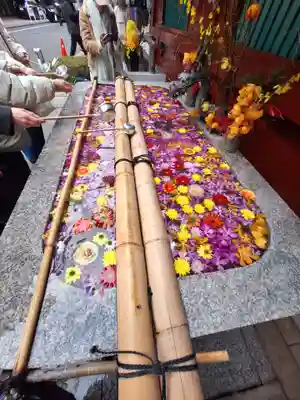 神田神社（神田明神）(東京都)