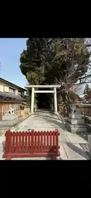 岩槻久伊豆神社(埼玉県)