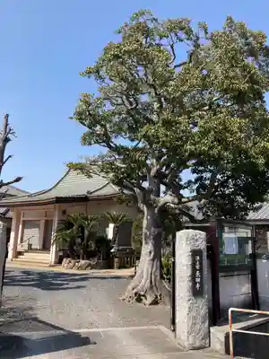 長田寺のその他建物