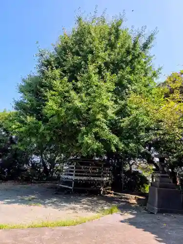 熊野神社（長井熊野神社）(神奈川県)