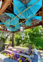 豊景神社の手水舎