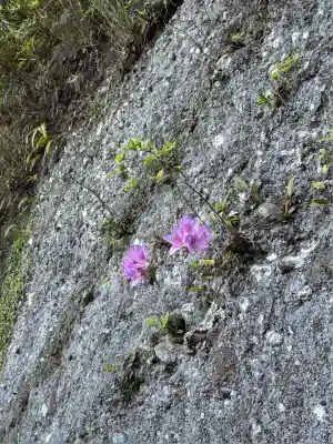 小笠神社(静岡県)