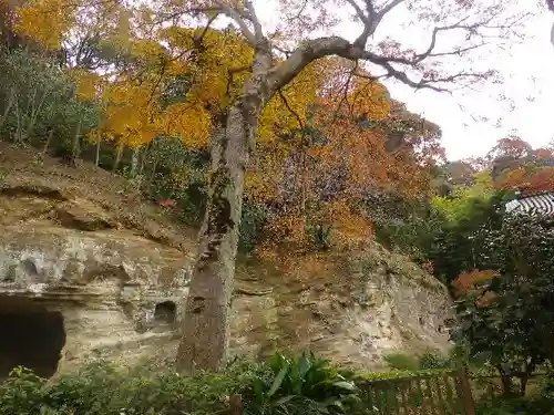 瑞泉寺のその他建物
