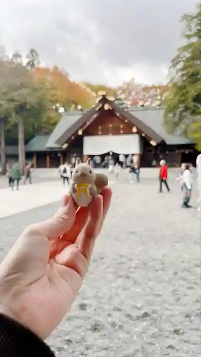 北海道神宮のおみくじ