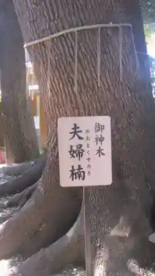 鳩ヶ谷氷川神社(埼玉県)