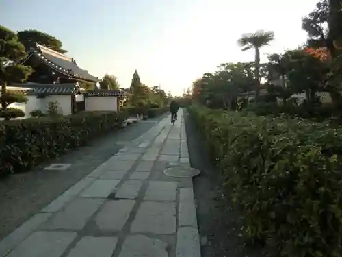 妙心寺（妙心禅寺）(京都府)