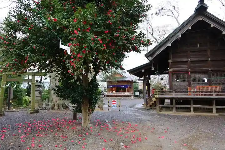 日吉神社の景色
