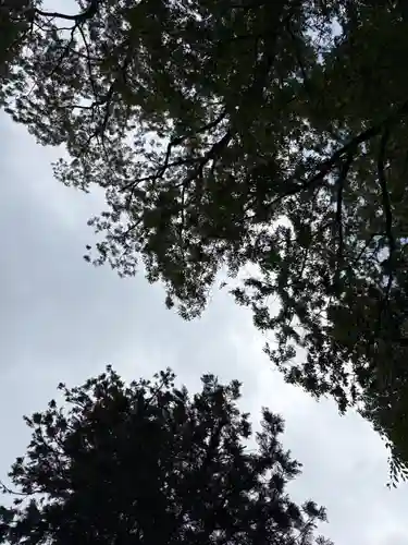 丹生川上神社（下社）(奈良県)