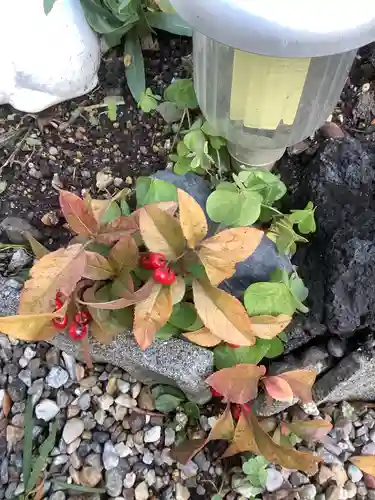 三輪神社の自然