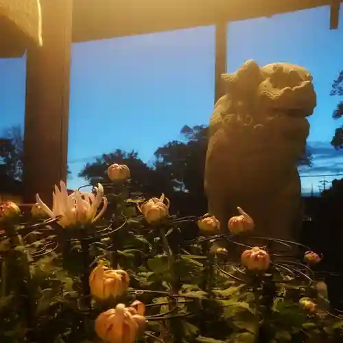 尾張大國霊神社（国府宮）(愛知県)