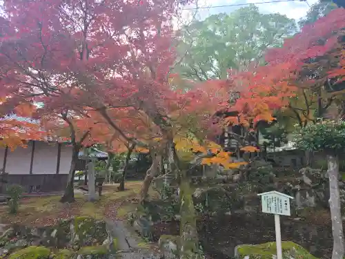 安養院(滋賀県)
