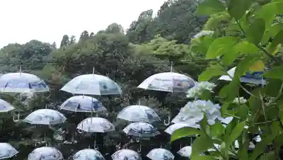柳谷観音　楊谷寺(京都府)