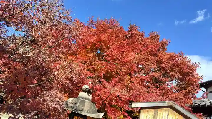 勝林寺(京都府)
