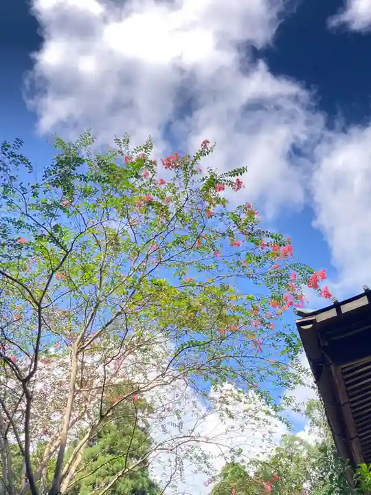 縣神社(千葉県)