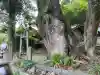 楠上神社(高知県)