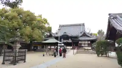 大聖観音寺（あびこ観音）(大阪府)